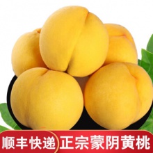 【顺丰快递】 黄桃水果新鲜黄金密桃山东桃子坏包赔 原箱装（6-10颗） 5斤-5.5斤（带箱）