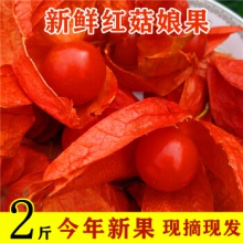 （今年新果）东北新鲜红姑娘 红菇娘 红皮灯笼果 苦姑娘 1000g=2斤