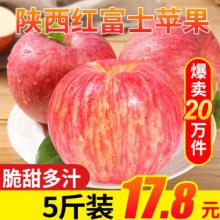 京愿  陕西新鲜红富士苹果  脆甜丑苹果新鲜水果 时令苹果 苹果水果 生鲜水果 5斤装（净重4.5-5斤）