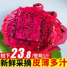 纯香果 红心火龙果 生鲜优选 新鲜水果 整箱5斤（中大果）